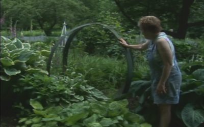 Garden Thyme – Cliff Wood Hoop Garden