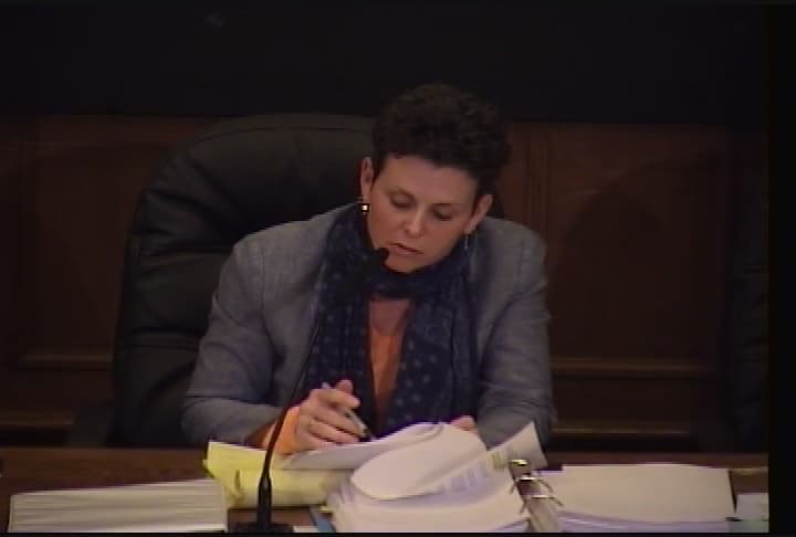 Portland City Council 4-28-14