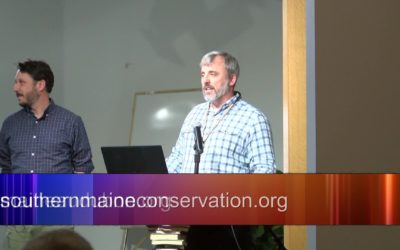 Member Highlight – Southern Maine Conservation Collaborative – Maine Audubon – Birds & Architecture