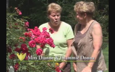 Garden Thyme- DeSimone Family