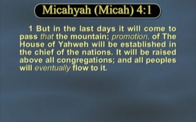 The House of Yahweh