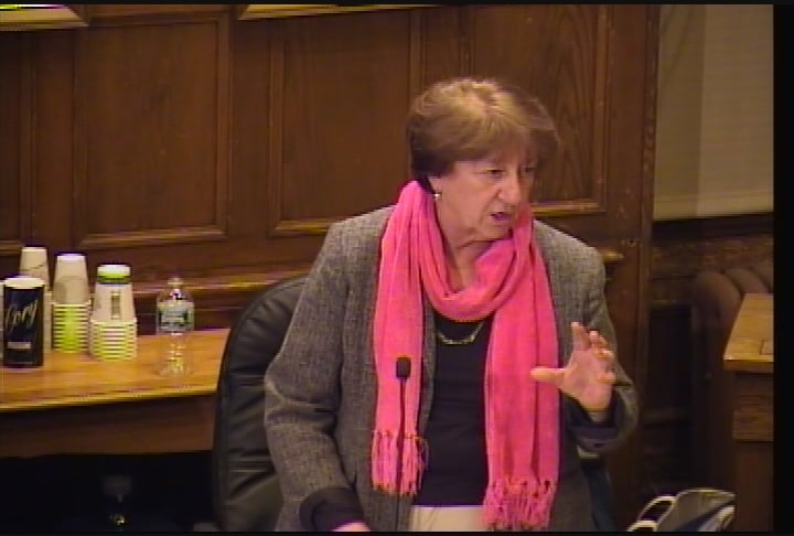 Portland City Council  3-17-14