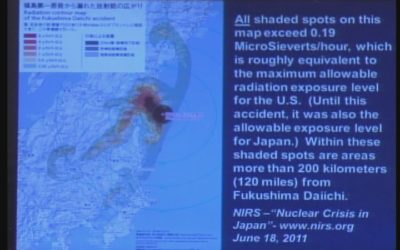 Alliance for Democracy –  Fukushima and its consequences – Lloyd Marbet