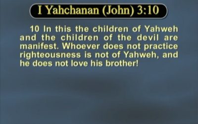 The House of Yahweh