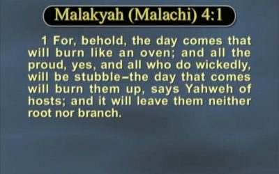 The House of Yahweh