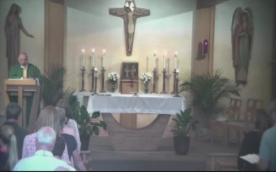 Catholic Mass – Holy Martyrs Church 7-2-17