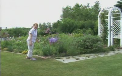 Garden Thyme: Gorham Garden Tour part 1