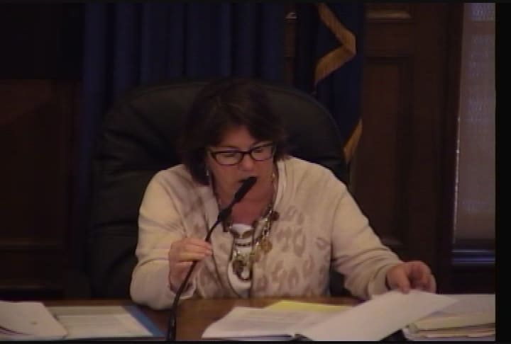 Portland City Council 6-2-14