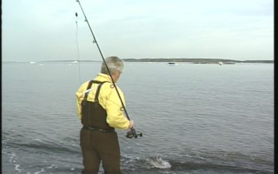 Sebago Lake to Casco Bay