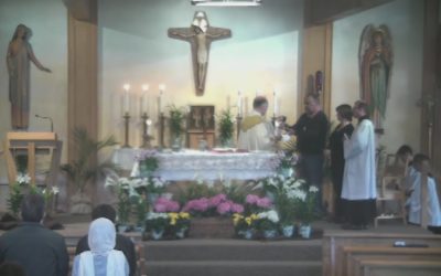 Catholic Mass – Holy Martyrs Church 4-24-16