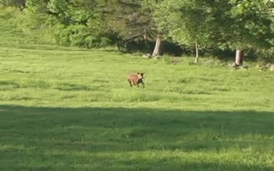 The humble Farmer 6-17-12