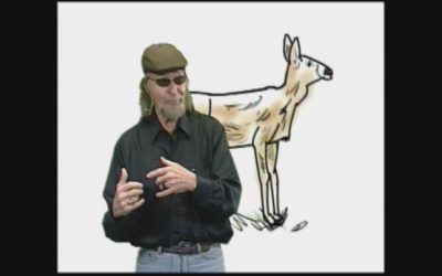 The Dr Draw Show – Deer Show
