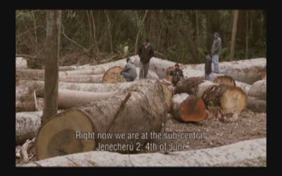 Better World Films  –  What If We Change – Documentary on Ecosystem Restoration