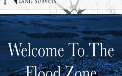 Welcome to the Flood Zone!