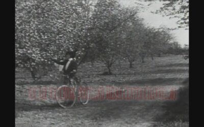 16 sec – Filler – Bike and Blossoms