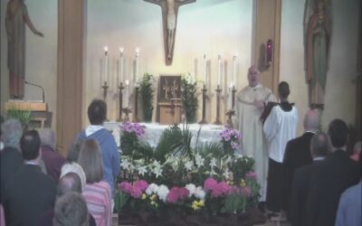 Catholic Mass – Holy Martyrs Church