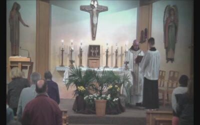 Catholic Mass – Holy Martyrs Church
