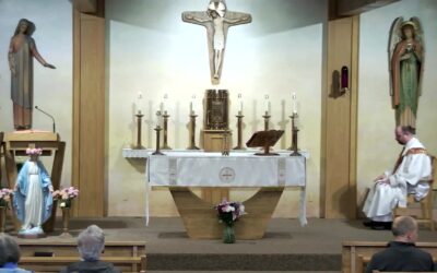 Holy Martyrs – Sunday Mass – May 12 2024