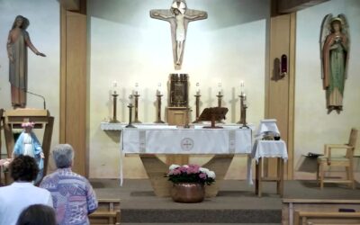 Holy Martyrs – Sunday Mass – May 19 2024