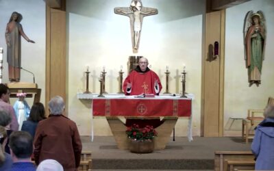 Holy Martyrs – Sunday Mass – May 26 2024