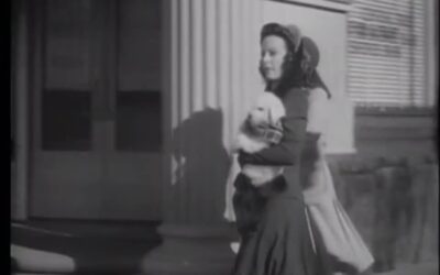 Movies – Lady Gangster – 1942
