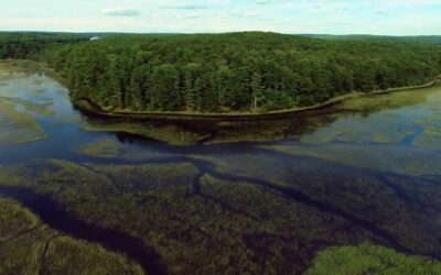 SRCTV – Island of Eagles – The Swan Island Story – 2020